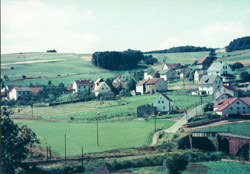 Blick von der Kyll zum Dorf um 1960